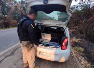 Motorista embriagado é preso após invadir a contramão e quase bater em viatura da PRF