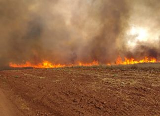 Mais um incêndio de grande porte atinge fazendas produtoras de soja em Talismã