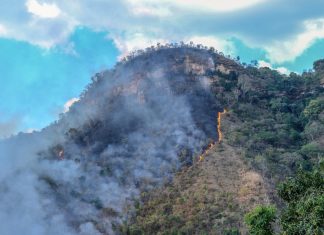 Força-tarefa intensifica combate a incêndio na Serra do Lajeado para evitar que fogo atinja propriedades