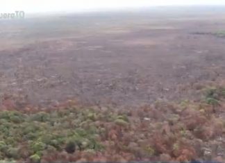 Chamas consomem um terço de floresta nativa onde vivem indígenas isolados na Ilha do Bananal