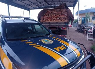 PRF apreende grande quantidade de madeira transportada ilegalmente pela BR-153