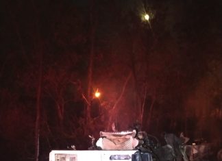 Caminhões pegam fogo após batida na BR-153 e duas pessoas morrem carbonizadas