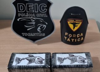 Polícia apreende pacotes de cocaína transportados em ônibus de Goiânia para Gurupi