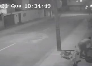 Mulher grávida de quase 9 meses é atacada por cães durante passeio com cachorro em Palmas; VÍDEO