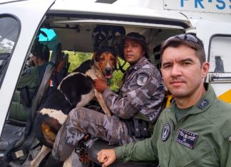 Idoso desaparecido em mata nas Serras Gerais é encontrado após operação com drone e helicóptero