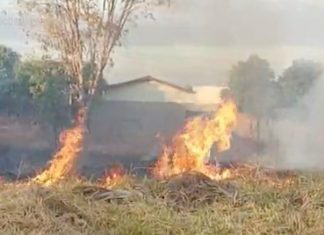 Queima de lixo e capim em lotes baldios incomoda moradores de Gurupi