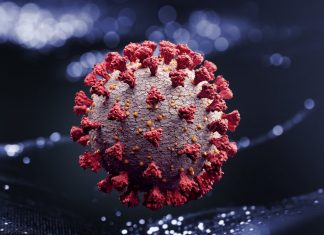 Infecção causada pela variante delta avança e passa a predominar no estado, diz Lacen