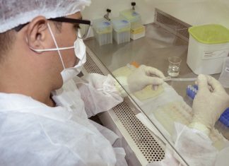 Tocantins registra 177 novos casos e três mortes pela Covid-19