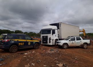Mais de 2 toneladas de queijos clandestinos são destruídas em aterro sanitário de Gurupi