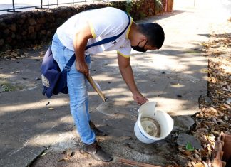Agentes fazem mutirões em Gurupi para procurar focos do Aedes aegypti; veja cronograma
