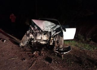 Mulher fica ferida após ter carro atingido por outro veículo e bater em árvore na BR-153