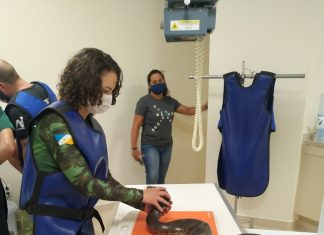 Cobra passa por exame de raio-x após cair de cachoeira e sofrer fratura em Palmas