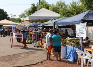 Interessados em vender flores em cemitério de Araguaína no Dia de Finados devem fazer cadastro