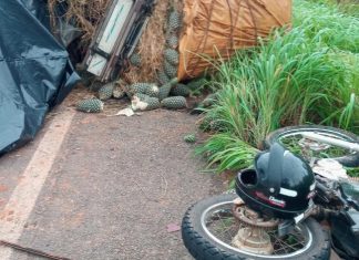 Contador morre em rodovia após carro bater na traseira de caminhonete carregada com abacaxis