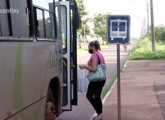 Mais de 470 pontos de ônibus em Palmas não têm abrigo e passageiros sofrem por ter que esperar na chuva