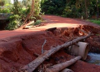 Moradores de Palmas se arriscam ao passar por ponte em situação precária: ‘medo de um deslizamento’