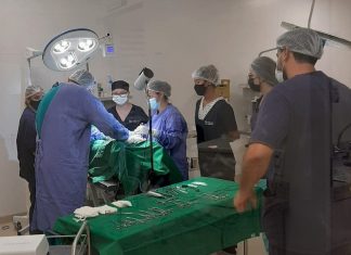 Projeto abre 40 vagas para castração de cães das famílias de baixa renda em Lajeado