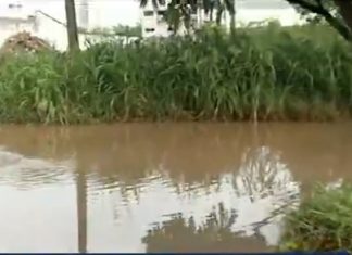 Bairro em Araguaína fica com a rua alagada por esgoto toda vez que chove
