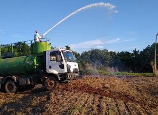 Área de fazenda pega fogo após cabo de energia elétrica se romper no sul do estado, diz Defesa Civil