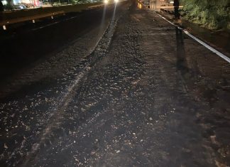 Trecho da BR-010 fica interditado pela 2ª noite após acidente com carga de carvão; limpeza continua na terça (16)