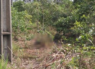 Corpo em avançado estado de decomposição é encontrado em bairro de Araguaína