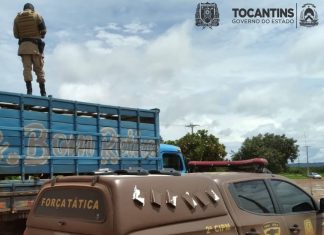 PM prende cinco suspeitos de furtar gado em fazenda e recupera animais