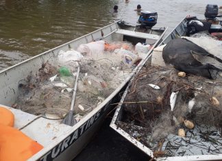 Em três dias, mais de 150 kg de peixes são apreendidos durante operação contra pesca predatória no Tocantins
