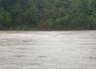 Corpo de homem que se afogou ao ser levado por correnteza é encontrado preso em galhadas em rio do TO