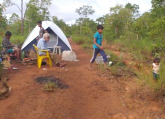 FOTOS: Indígenas abandonam aldeias e acampam em matagais com medo das enchentes no TO