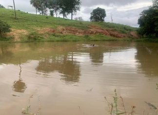 Adolescente morre afogado em represa após nadar por 15 metros e desaparecer