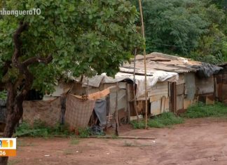Mais de 30% da população do TO vive em situação de pobreza e 5,8% em extrema pobreza, diz IBGE