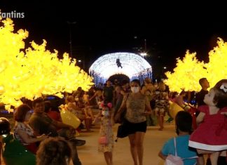 Decoração de Natal inspirada no cerrado encanta visitantes com bosque de ipês amarelos em Palmas