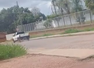 Vídeo mostra homem amarrando cachorro em carro e arrastando animal em cidade do Tocantins
