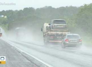 PRF reforça fiscalização nas rodovias e alerta motoristas sobre temporais e árvores caídas na pista