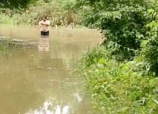 VÍDEOS: Moradores ficam ilhados e carros submersos após chuvas fortes na região sul do Tocantins
