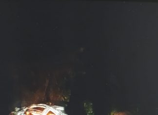 Carro fica completamente destruído ao pegar fogo em estrada e motorista não é encontrado