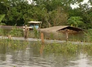 Casas ficam apenas com o telhado para fora d’água durante cheia e ribeirinhos precisam deixar povoados