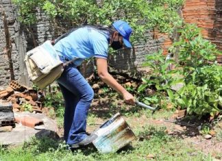 Casos de dengue sobem 288% em Araguaína neste ano