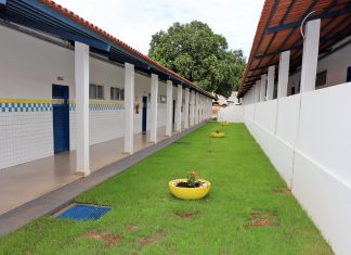 Governo do Tocantins anuncia aulas 100% presenciais em 2022