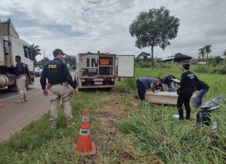 Motociclista morre e mulher fica ferida ao serem atingidos por tiros enquanto trafegavam por Araguaína