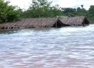 Prefeitura de Miracema decreta emergência por causa das enchentes; Paranã declara calamidade pública
