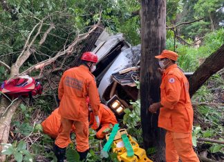 Caminhão carregado de gado tomba na BR-153; acidente teria acontecido após arara pousar em pista