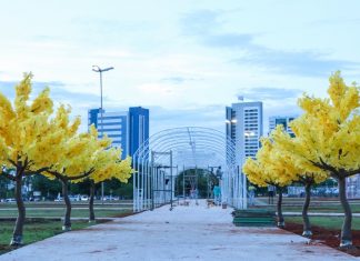 Decoração natalina das praças de Palmas será inaugurada nesta segunda-feira (6); veja novidades