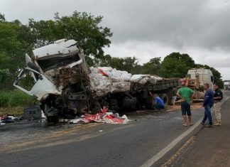 Irmãos morrem após batida frontal envolvendo caminhões na BR-153