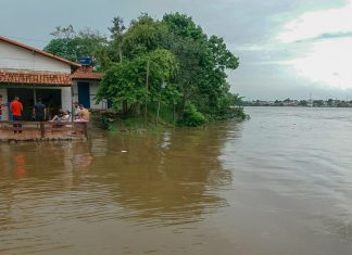 Passa de 700 o total de afetados pelas enchentes no Tocantins e mais de 150 ficam desabrigados