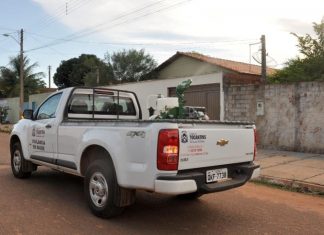 Com alto índice de infestação, Palmas vai usar carro fumacê para reforçar combate ao mosquito da dengue