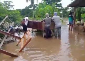 Moradores da zona rural de Arraias tentam salvar móveis após ter casas alagadas; VIDEO