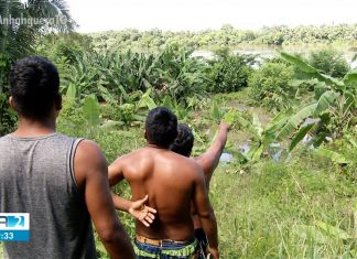 Mais de 20 cidades do TO têm desabrigados ou desalojados por causa das chuvas; indígenas perdem plantações