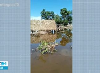 Aldeia é atingida por enchente e põe em risco o início do ano letivo para crianças indígenas