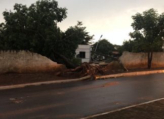 Temporal derruba árvores e parte do muro de cemitério em Araguaína